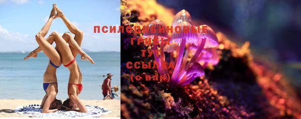 MESCALINE Карпинск