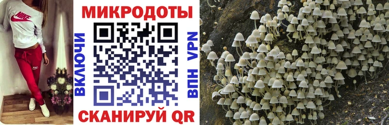 Галлюциногенные грибы GOLDEN TEACHER  Купить  Зеленогорск 